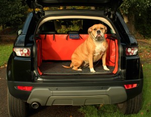 Why dog owners need a car boot liner