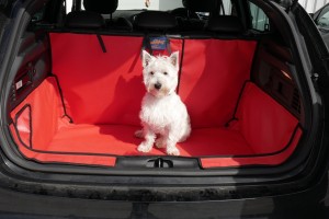 dog in a boot with a boot liner