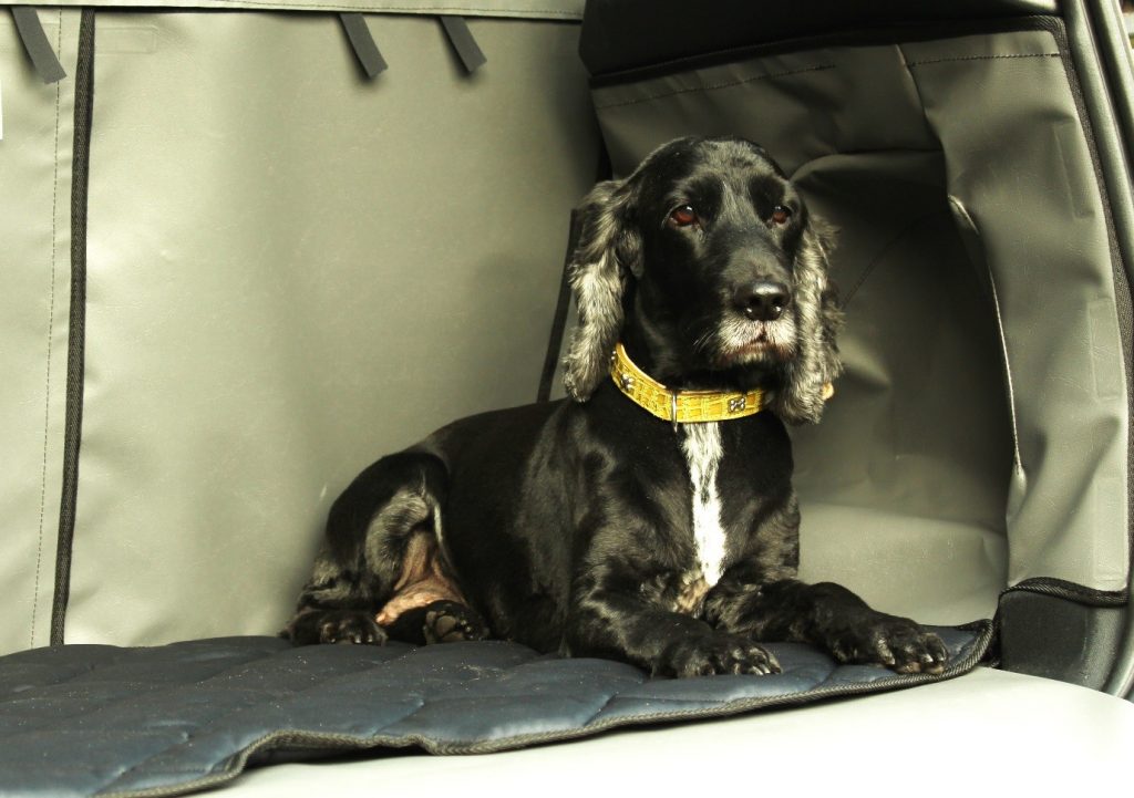 a black dog sitting in a car boot